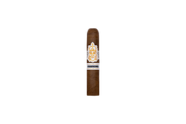 Cigarkings Nicaragua Petit Robusto SG (Creative Edition 2021)