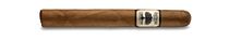 Foundation Cigar - Charter Oak Shade Petit Corona