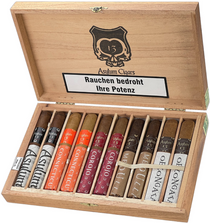 Asylum Cigars Sampler 10er Robusto (123510)